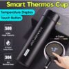 500ML Temperature Control LED Display Bottle, Sports, office picnic best use, smart water bottle delicate look